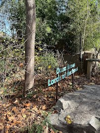 Dana Brown Lords of the Forest photo 3