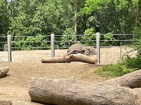 Dana Brown Lords of the Forest photo 4