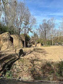 Dana Brown Lords of the Forest photo 5