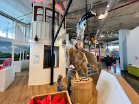The Regnier Family Wonderscope Children's Museum of Kansas City photo 5