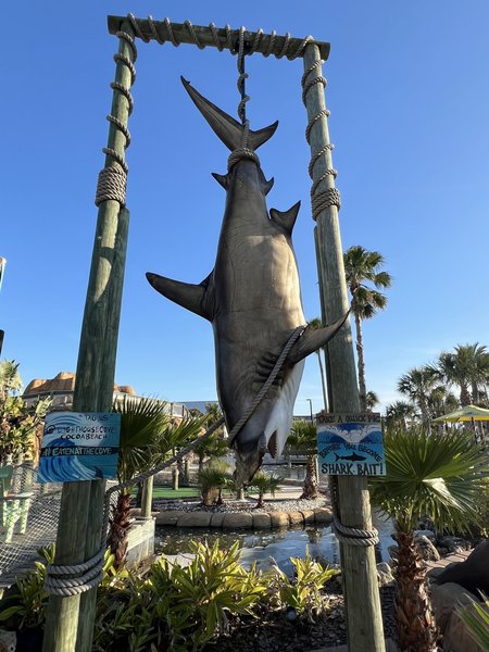 Lighthouse Cove Mini Golf photo 6