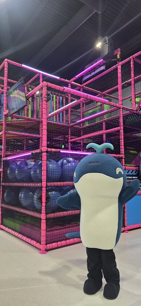 Vellix Adventure Park photo 4
