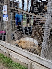 Randall Oaks Zoo photo 5