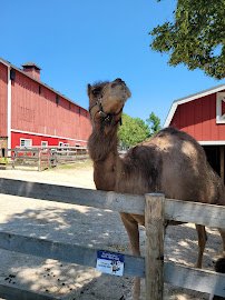 Randall Oaks Zoo photo 6