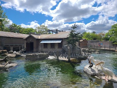Penguin Coast