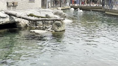Penguin Coast photo 2