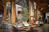 World Forestry Center photo 3