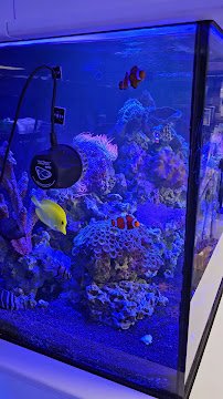 Saltwater Paradise photo 2