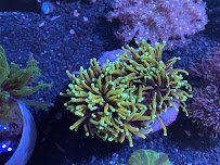 Saltwater Paradise photo 3