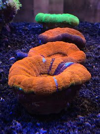 Saltwater Paradise photo 4