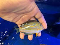 Saltwater Paradise photo 5