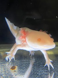 Fort Worth Aquarium photo 2