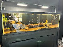 Fort Worth Aquarium photo 3