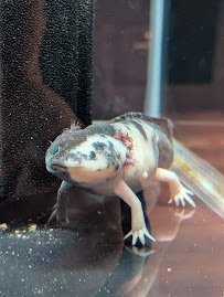 Fort Worth Aquarium photo 4