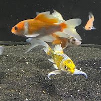 Fort Worth Aquarium photo 5