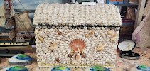 Discovery Seashell Museum photo 5