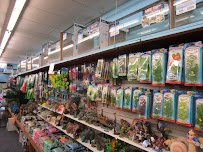 World Wide Aquarium & Pets photo 2