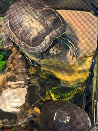 World Wide Aquarium & Pets photo 5