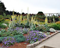 Humboldt Botanical Garden