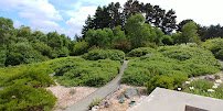 Humboldt Botanical Garden photo 2