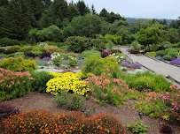 Humboldt Botanical Garden photo 3