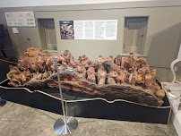 Museums of Historic Hopkinsville-Christian County photo 4