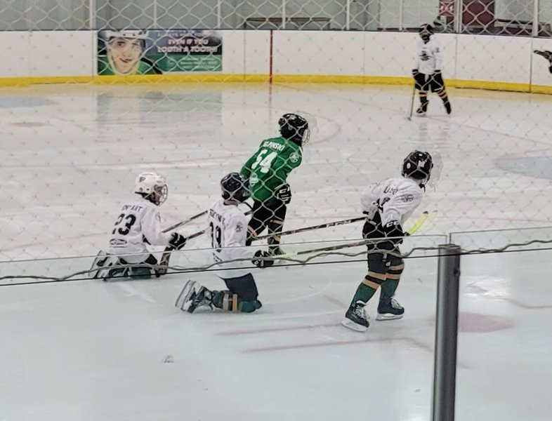 Shoreview Arena photo 2