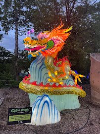 Glow Wild: A Spring Lantern Festival at Peoria Zoo photo 3
