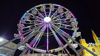 Electra Wheel
