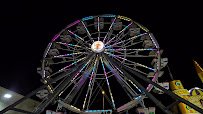 Electra Wheel photo 2