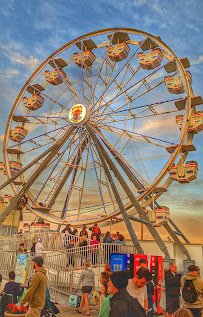 Electra Wheel photo 4