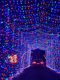 Hollywild Animal Preserve photo 4