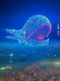 Hollywild Animal Preserve photo 5