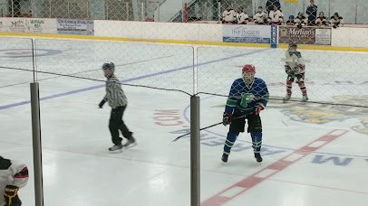 Ham Public Ice Arena photo 2