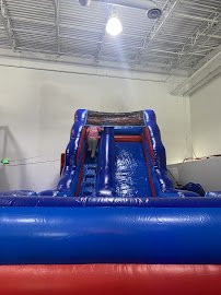 Kangaroo Zoo photo 4