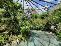 Butterfly World
