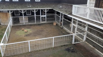 Bravo Farms Petting Zoo photo 2
