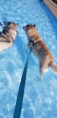 Kennedy Water Park photo 4