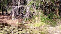 Dauset Trails Nature Center photo 2