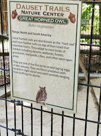 Dauset Trails Nature Center photo 5