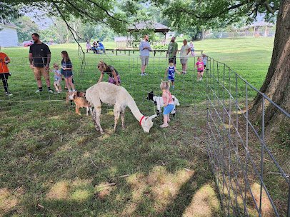 Little Critters Traveling Petting Zoo LLC photo 2