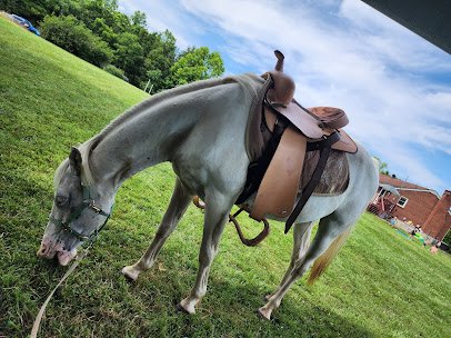 Little Critters Traveling Petting Zoo LLC photo 5