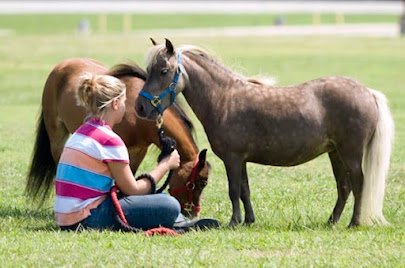 Little Critters Traveling Petting Zoo LLC photo 6
