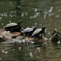 Mary Vagle Nature Center photo 2