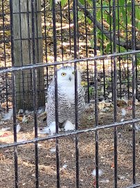 Bay Beach Wildlife Sanctuary Nature Center
