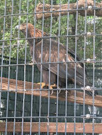 Bay Beach Wildlife Sanctuary Nature Center photo 4
