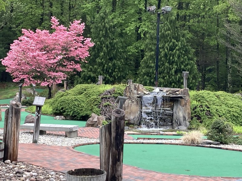 Longhis Executive Par 3 Golf Course, Driving Range & Mini Golf photo 5