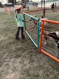 All About the Animals Petting Zoo photo 4