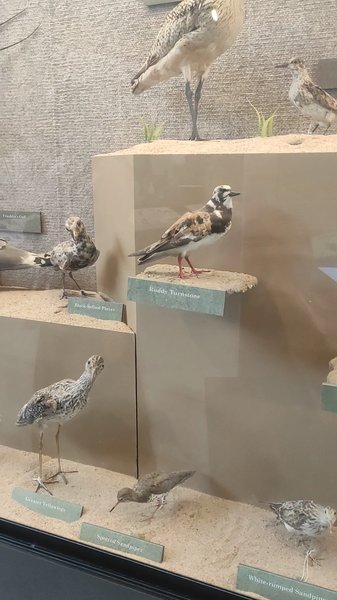 Kansas Wetlands Education Center photo 2
