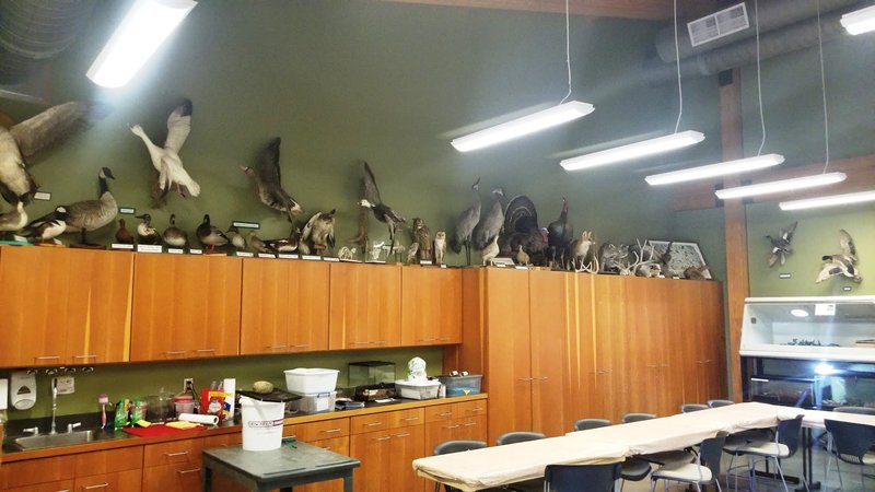 Kansas Wetlands Education Center photo 6